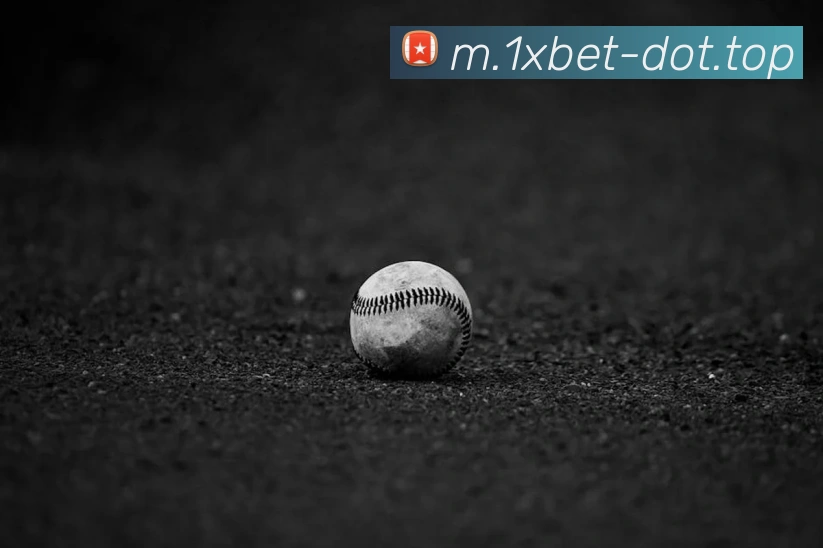 1xbet官网平台生态图